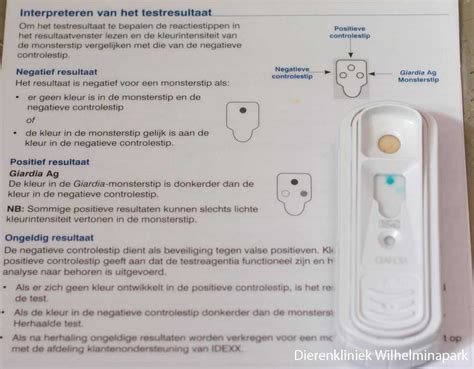 giardia snap test idexx